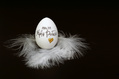 1079_ - Egg on Feathers