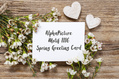 1116_ - Spring Greeting Card