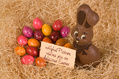 357_ - Chocolate Easter Bunny