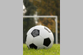 499_ - Classic Soccer Ball