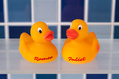 561_ - Rubber Duckies