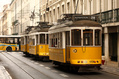 774_ - Lisbon Trams