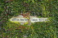 790_ - Ivy Direction Sign