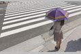 886_ - Umbrella at Pedestrian Crossing