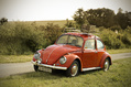 912_ - VW Beetle